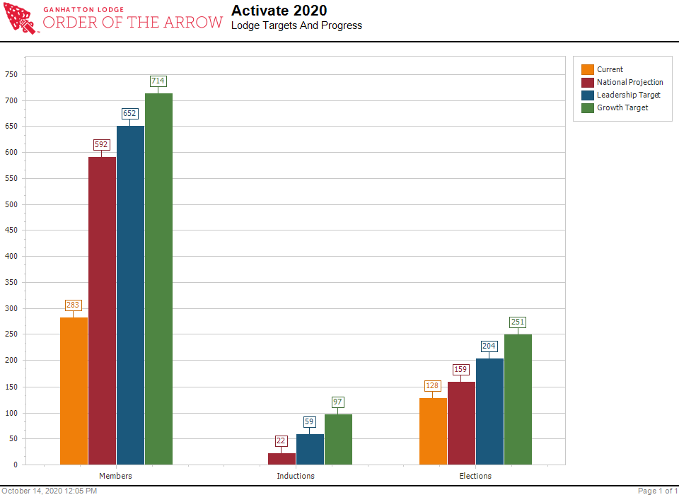 Activate 2020 Report