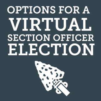 Options for a Virtual Section Officer Election